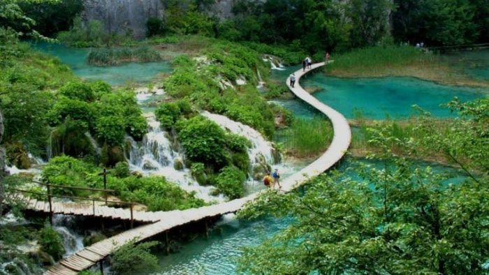 Vườn Quốc gia Bạch Mã
