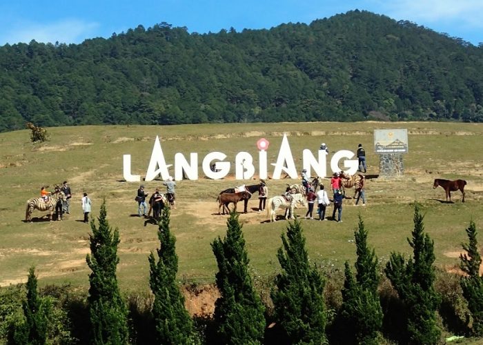 Cách Đi Du Lịch Đà Lạt Tự Túc