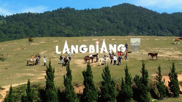 Cách Đi Du Lịch Đà Lạt Tự Túc